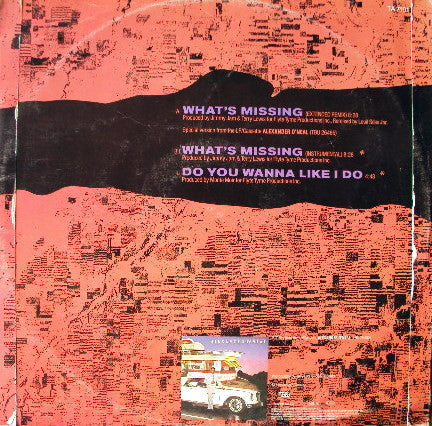 Alexander O'Neal : What's Missing (Extended Remix) (12")