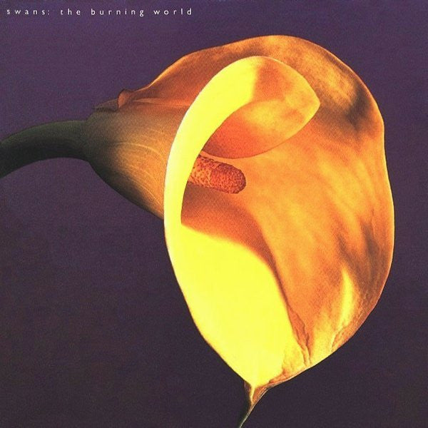 Swans : The Burning World (LP, Album, RE)