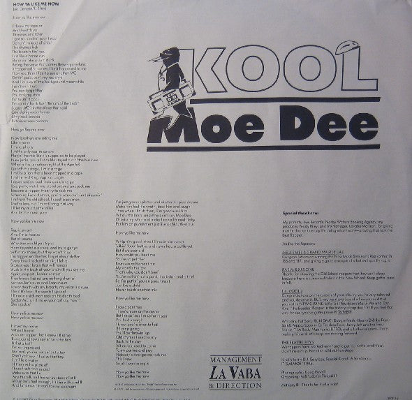 Kool Moe Dee : How Ya Like Me Now (LP, Album)