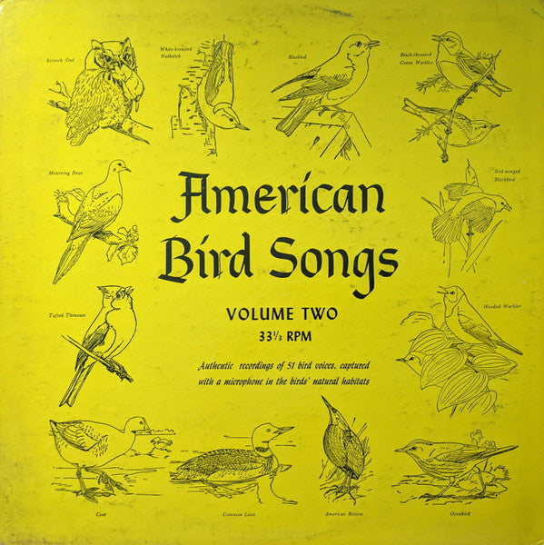 Professor A. A. Allen*, Professor P. P. Kellogg* : American Bird Songs - Volume Two (LP)