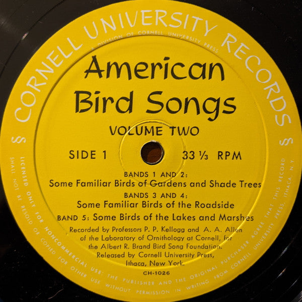 Professor A. A. Allen*, Professor P. P. Kellogg* : American Bird Songs - Volume Two (LP)