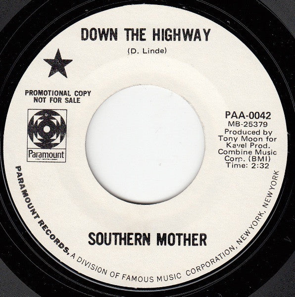 Southern Mother : Everyone Is Listening (7", Promo)