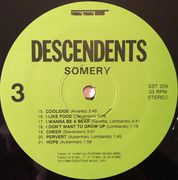 Descendents : Somery (2xLP, Comp, RP)