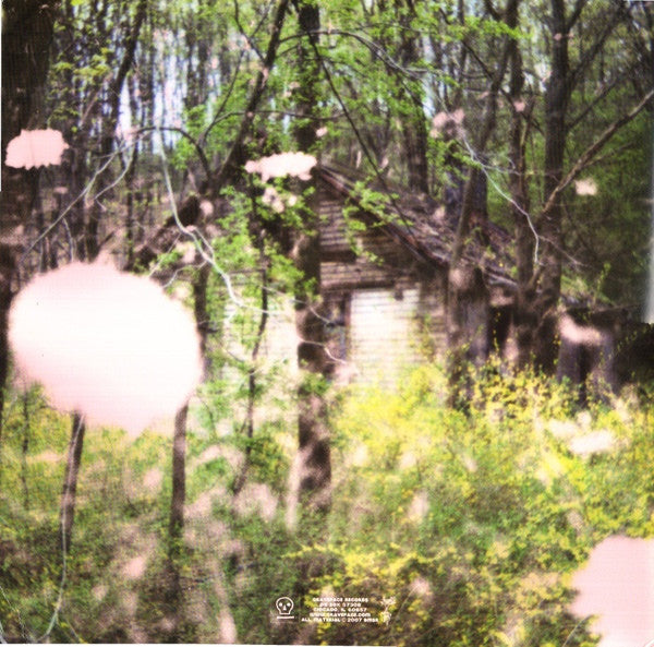 Black Moth Super Rainbow : Dandelion Gum (2xLP, Album, Ltd, RE, RP, Pin)