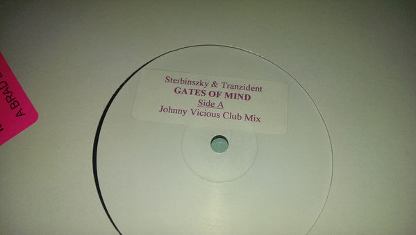 Sterbinszky & Tranzident Feat. Jewls : Gates Of Mind (12", Maxi, Promo, W/Lbl)