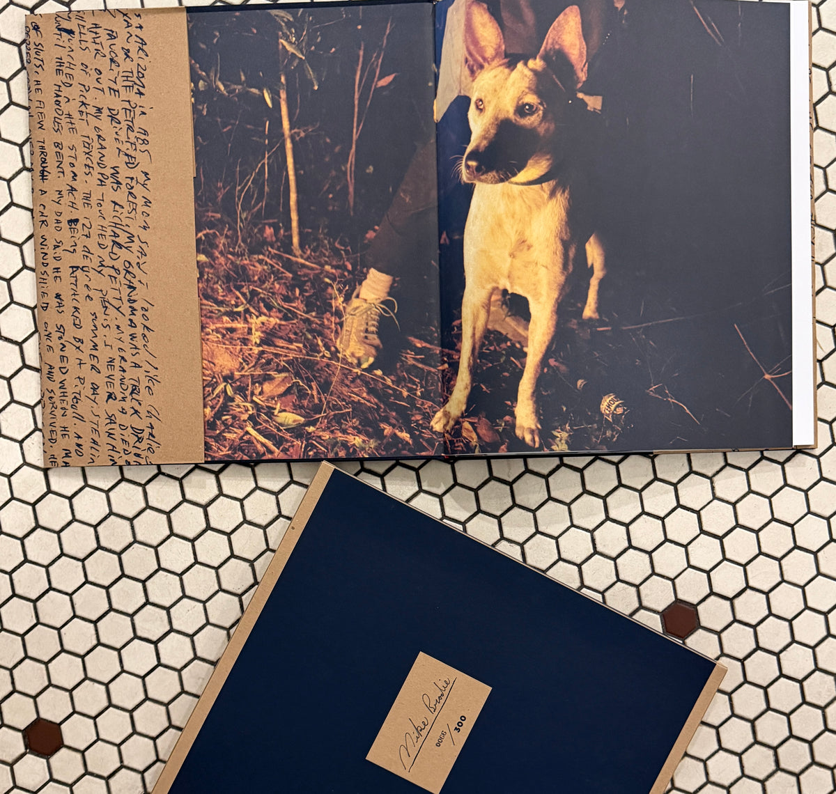 Mike Brodie - A Period Of Juvenile Prosperity - Limited Slip Case Numbered /300