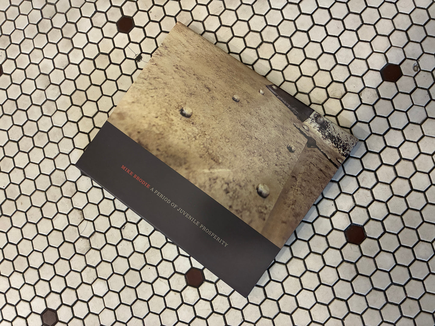 Signed Mike Brodie - A Period of Juvenile Prosperity 5th edition