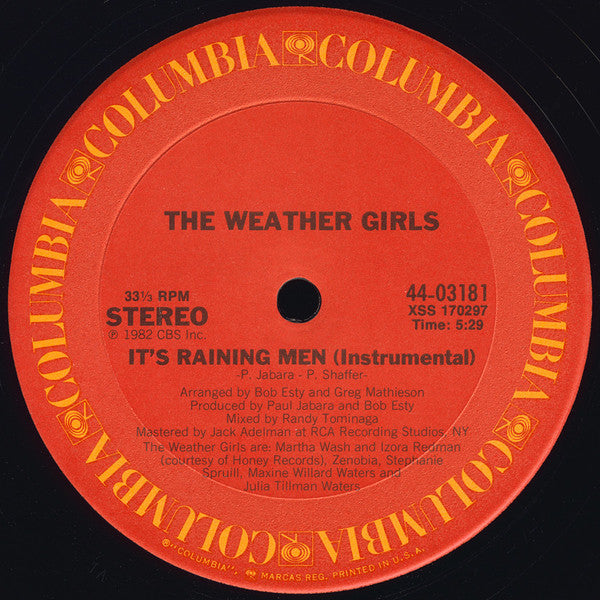 The Weather Girls : It's Raining Men (12")