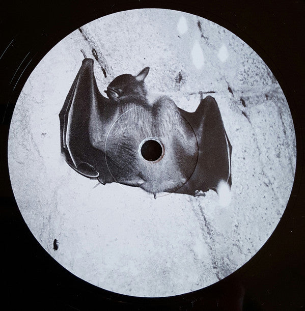 Drøne : Reversing Into The Future (LP, Album, Ltd)