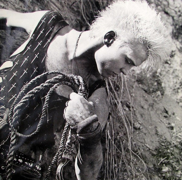 Billy Idol : Whiplash Smile (LP, Album, EMW)