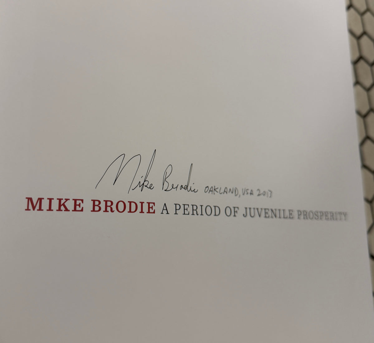 Mike Brodie - A Period Of Juvenile Prosperity - Limited Slip Case Numbered /300