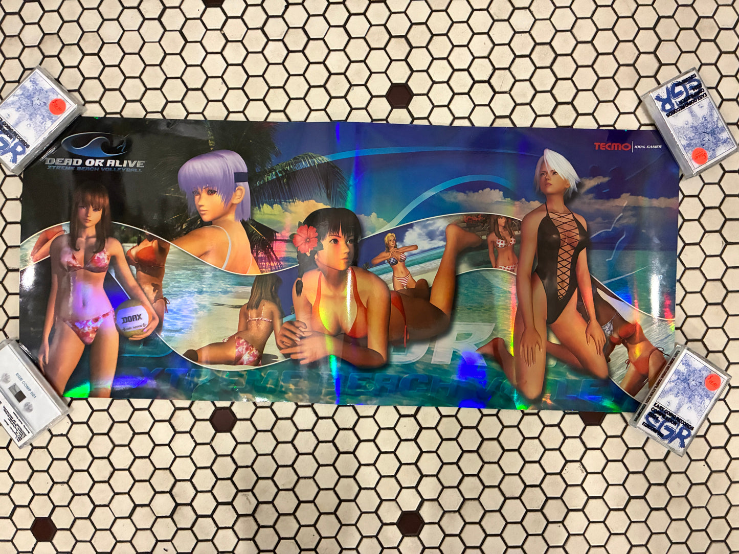 Dead or Alive Volleyball 13" x 30"