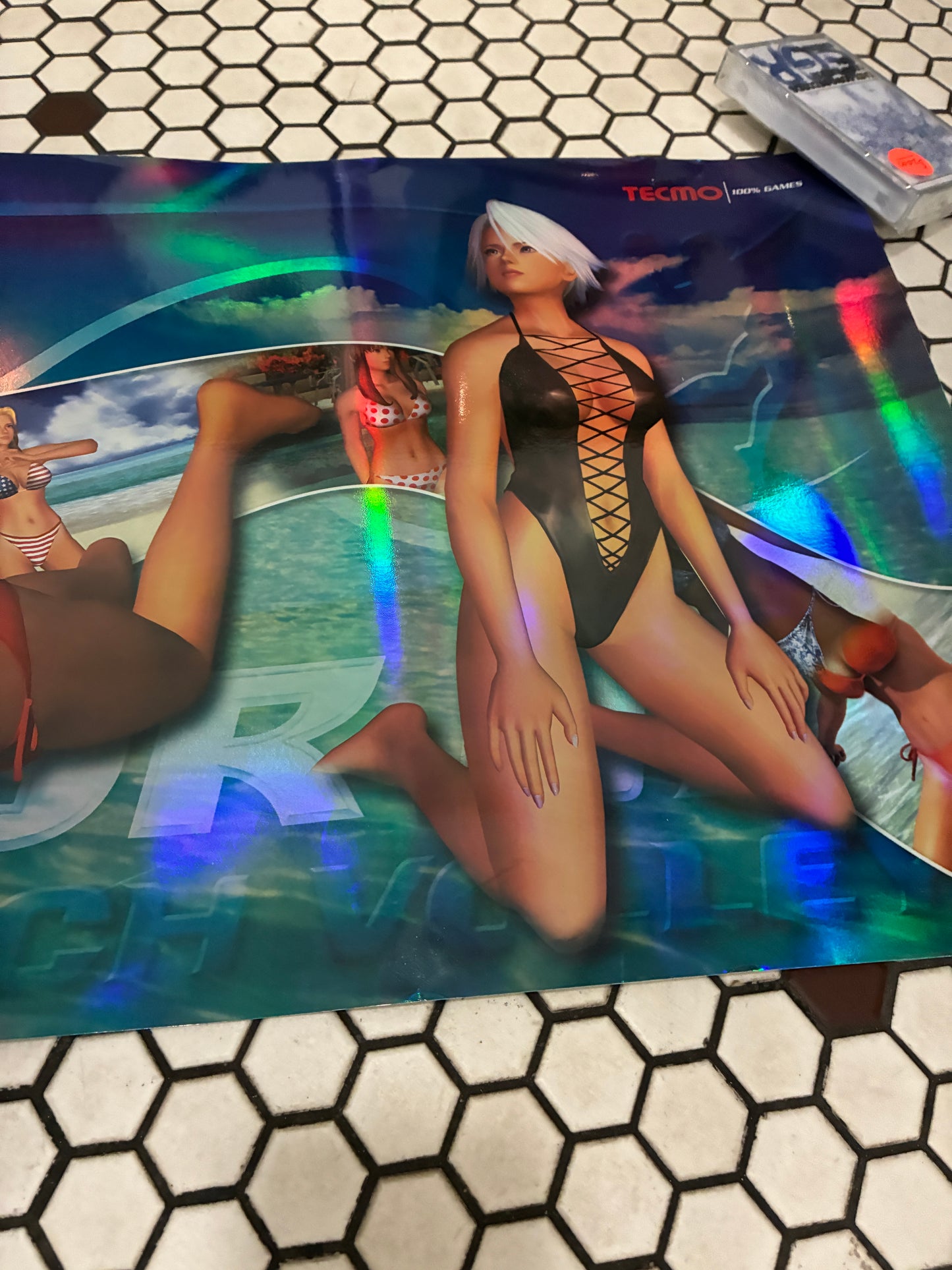 Dead or Alive Volleyball 13" x 30"