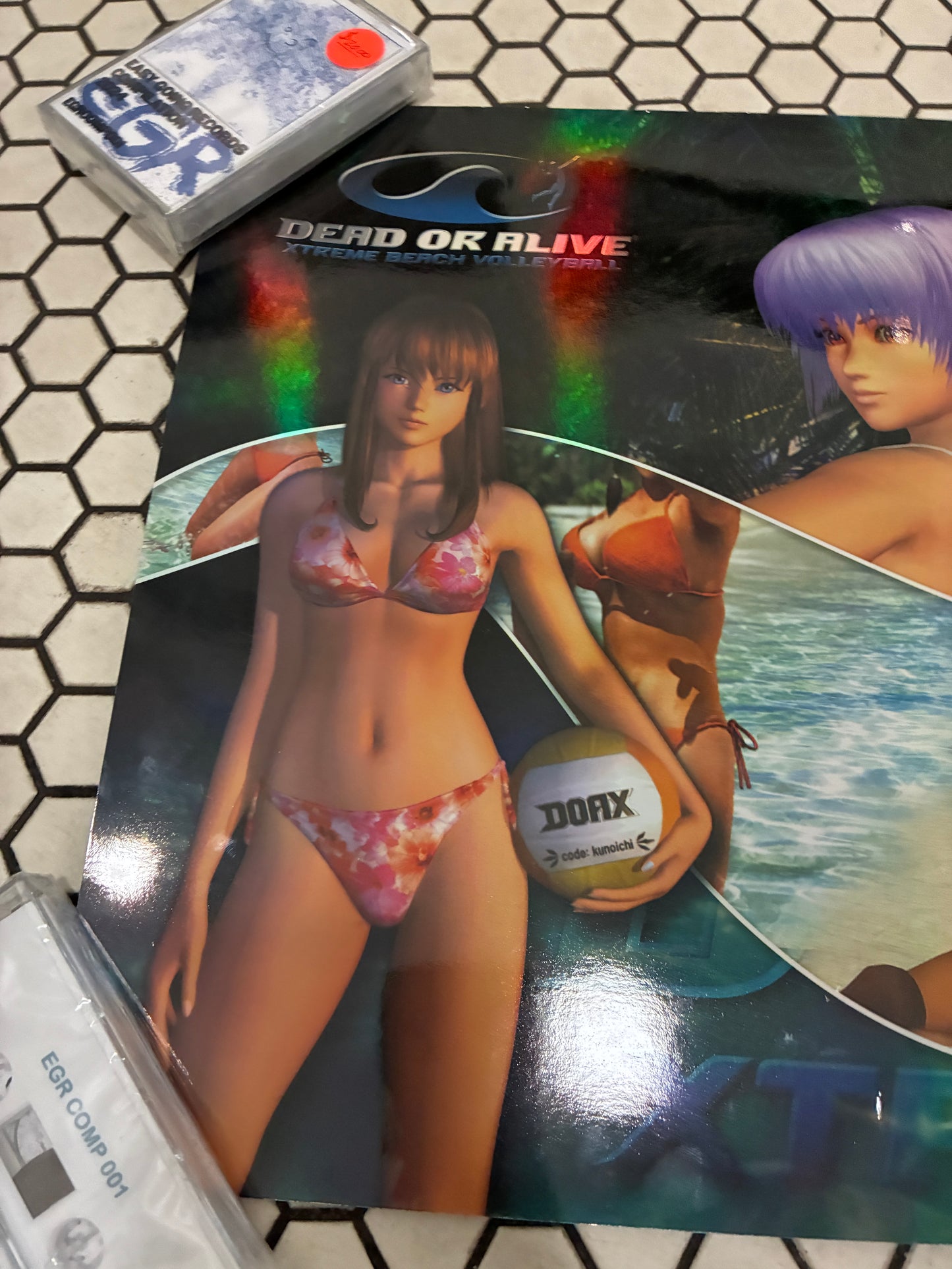 Dead or Alive Volleyball 13" x 30"