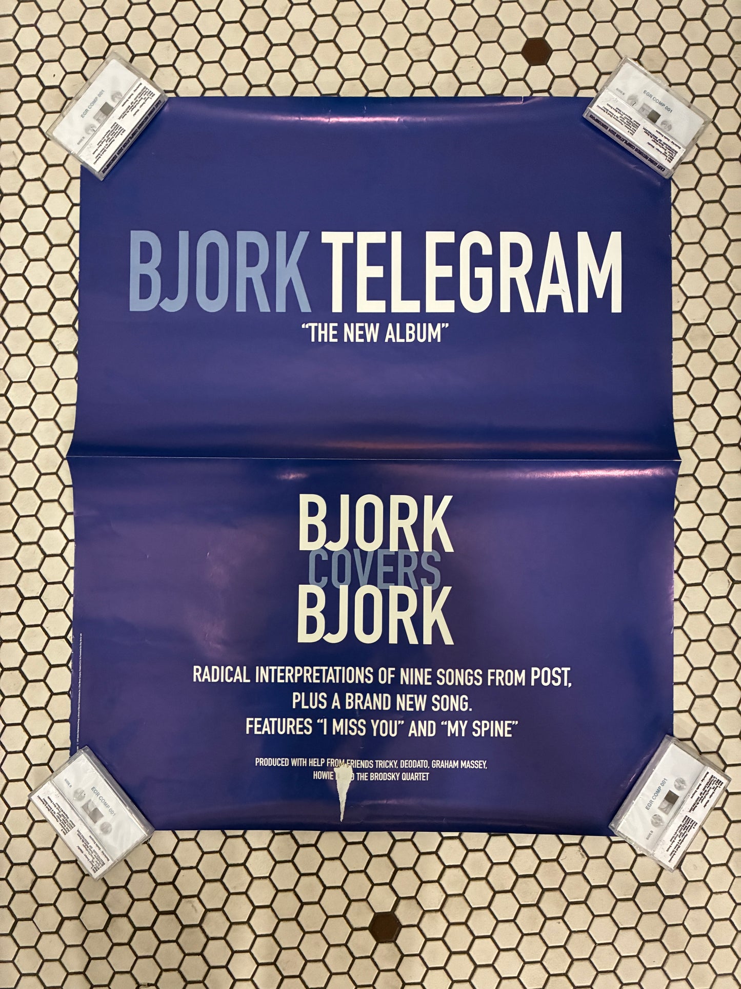 Bjork Telegram Poster 24" x 30"