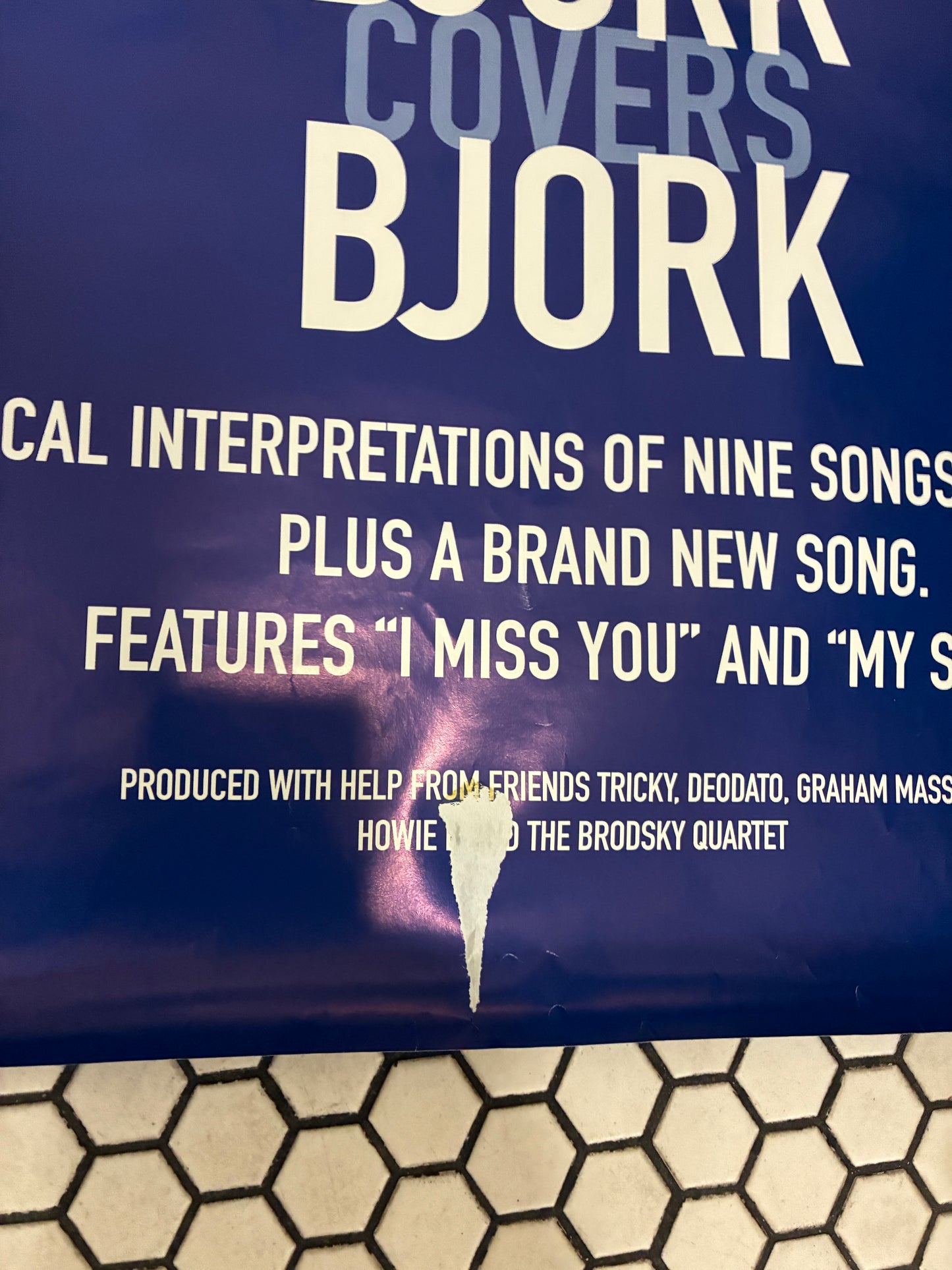 Bjork Telegram Poster 24" x 30"