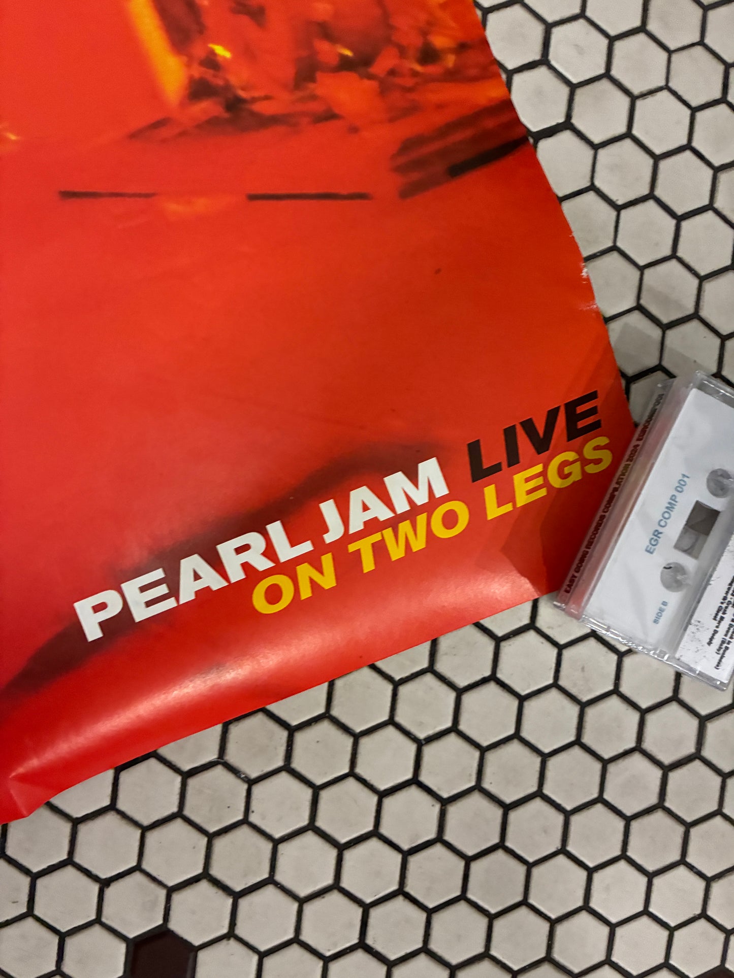Pearl Jam Live on Two Legs Tour Poster 24" x 36"