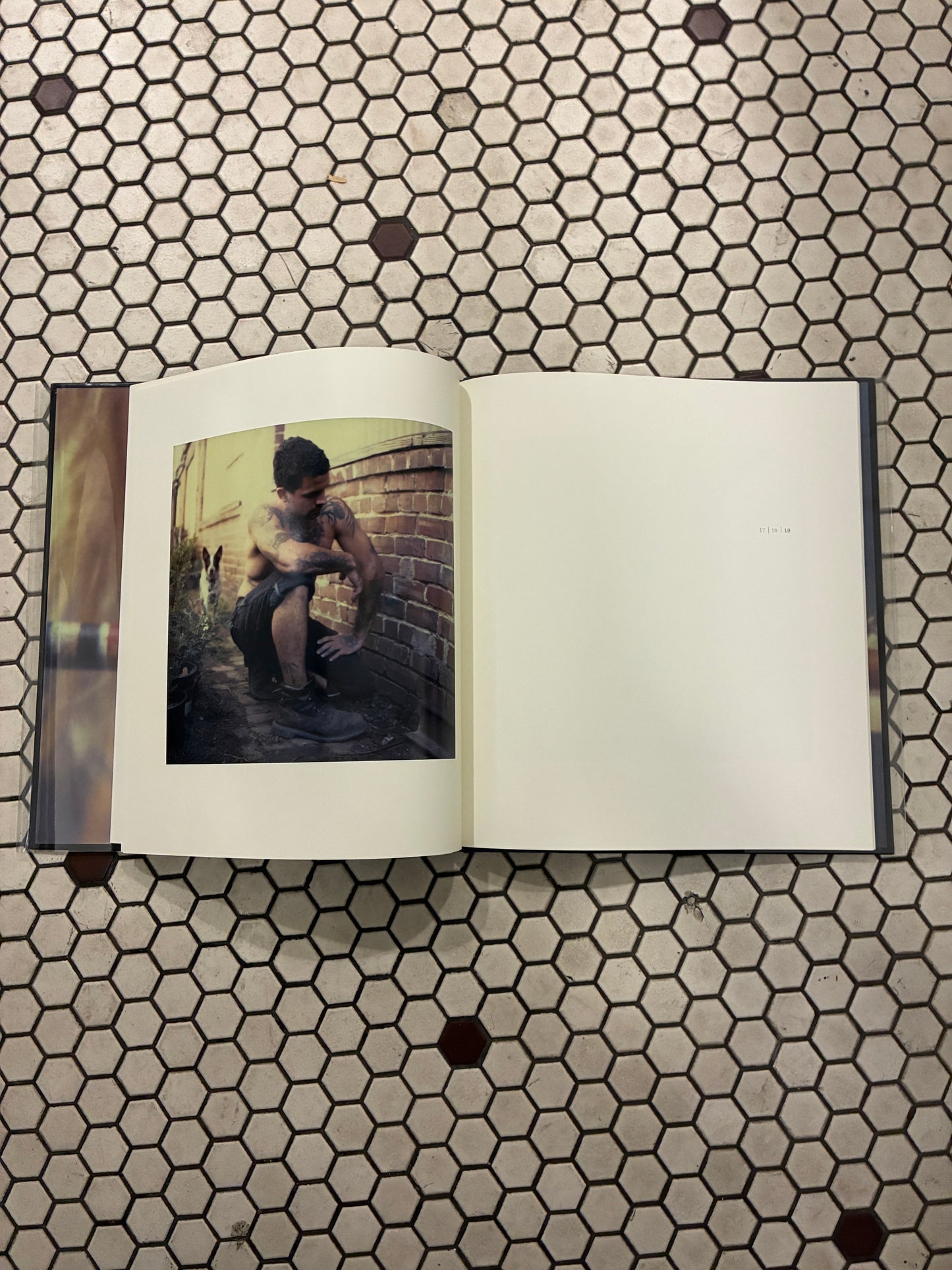 Michael Brodie Tones of Dirt and Bone Book