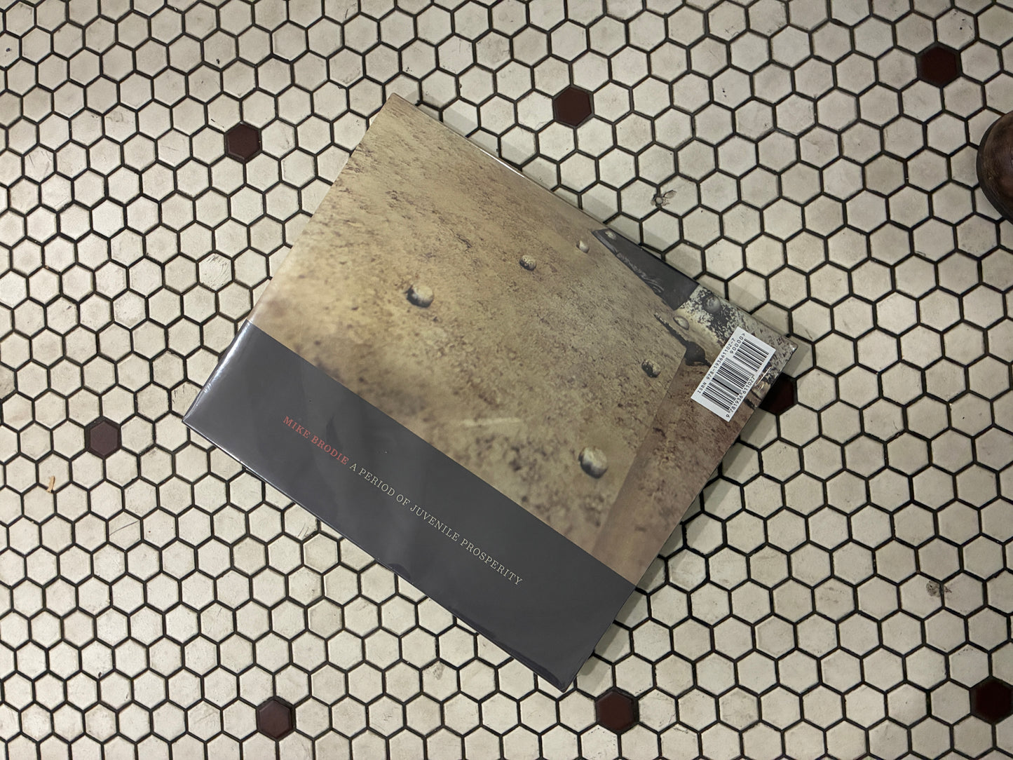 Michael Brodie A Period of Juvenile Prosperity Book