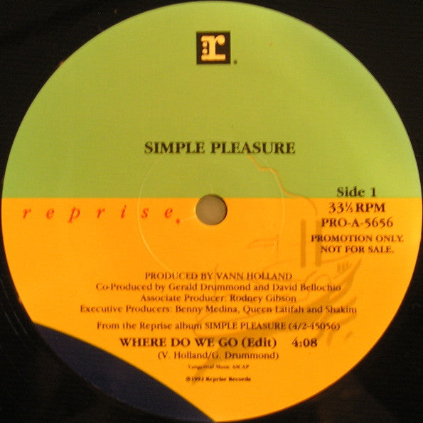 Simple Pleasure : Where Do We Go (12", Promo)