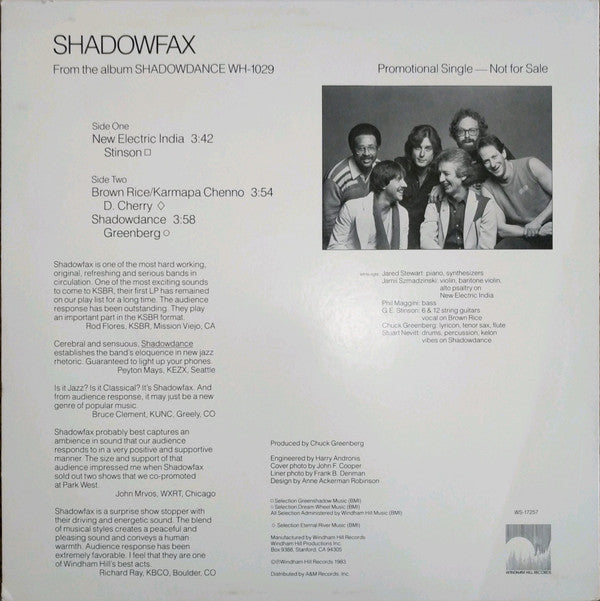 Shadowfax : New Electric India (12", Single, Promo)