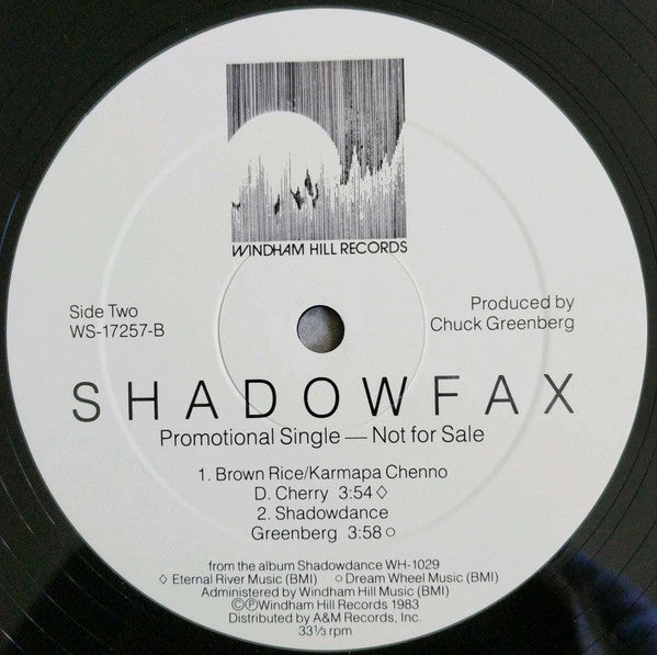 Shadowfax : New Electric India (12", Single, Promo)