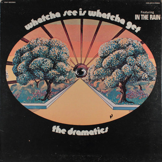 The Dramatics : Whatcha See Is Whatcha Get (LP, Album, ARP)