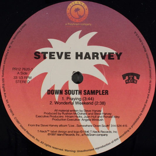 Steve Harvey (4) : Down South Sampler (12", Promo, Smplr)