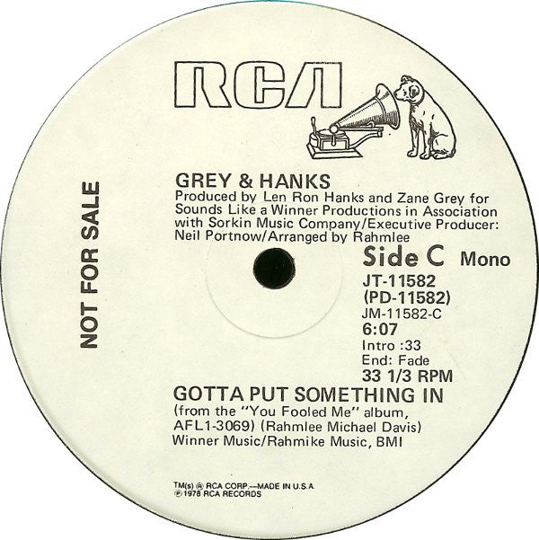 Grey And Hanks : Gotta Put Something In (12", Single, Promo)