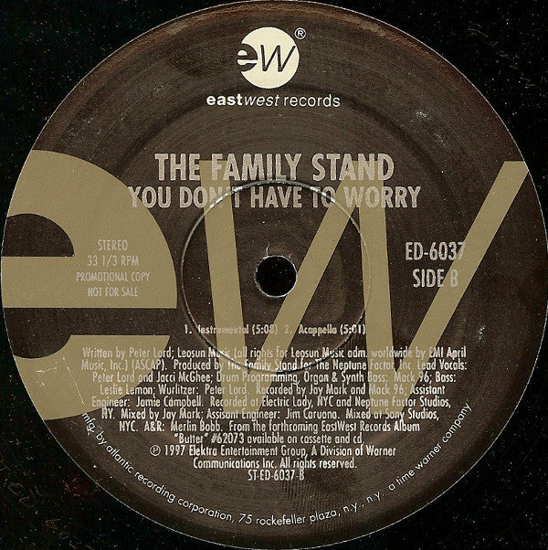 The Family Stand : You Don't Have To Worry (12", Promo)