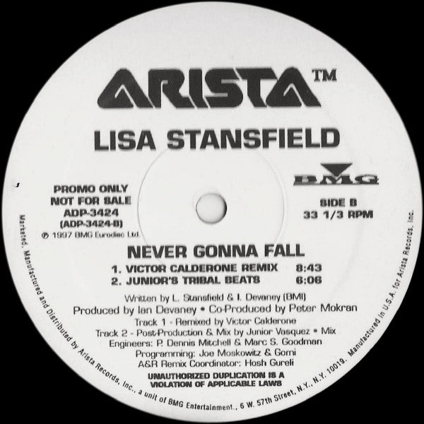 Lisa Stansfield : Never Gonna Fall (12", Promo)