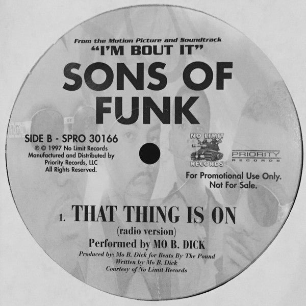 Sons Of Funk : Pushin' Inside You (12", Promo)