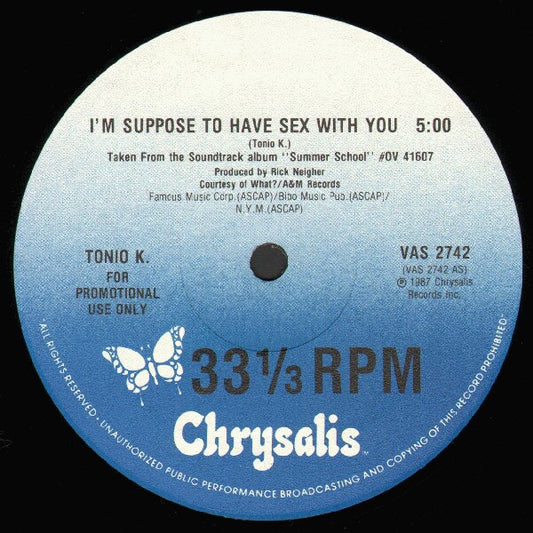 Tonio K. : I'm Supposed To Have Sex With You (12", Promo)