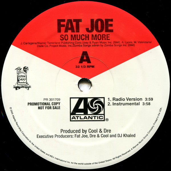 Fat Joe : So Much More (12", Single, Promo)