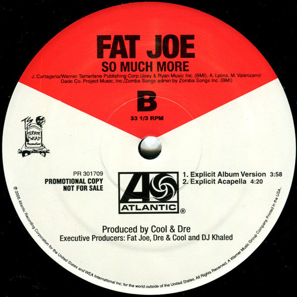 Fat Joe : So Much More (12", Single, Promo)