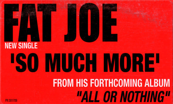 Fat Joe : So Much More (12", Single, Promo)