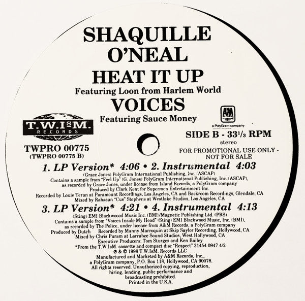 Shaquille O'Neal Featuring Peter Gunz And Public Announcement : Make This A Night To Remember (12", Promo)