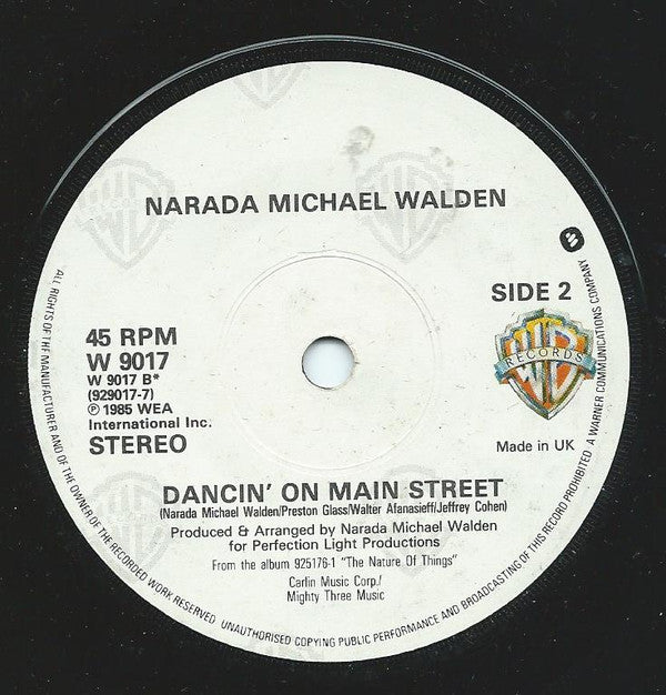 Narada Michael Walden : The Nature Of Things (12")