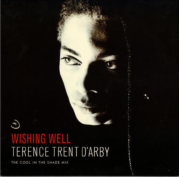 Terence Trent D'Arby : Wishing Well (The Cool In The Shade Mix) (12")