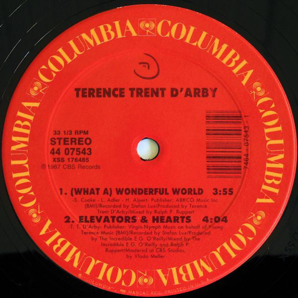 Terence Trent D'Arby : Wishing Well (The Cool In The Shade Mix) (12")