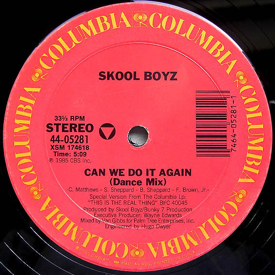 Skool Boyz : Can We Do It Again (12")