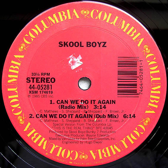 Skool Boyz : Can We Do It Again (12")