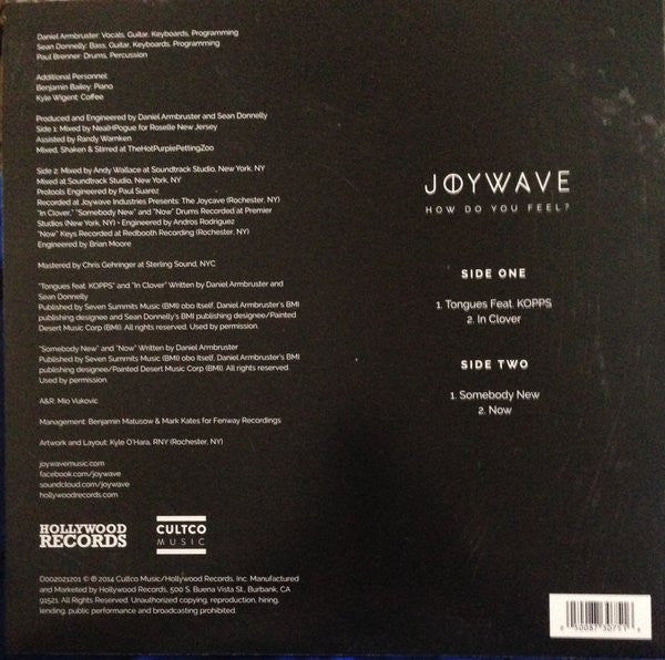 Joywave : How Do You Feel? (12", EP)