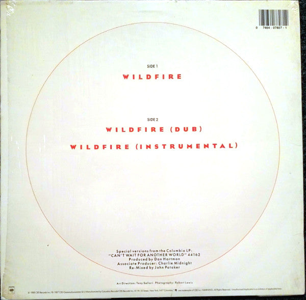 Time Bandits : Wildfire (12")